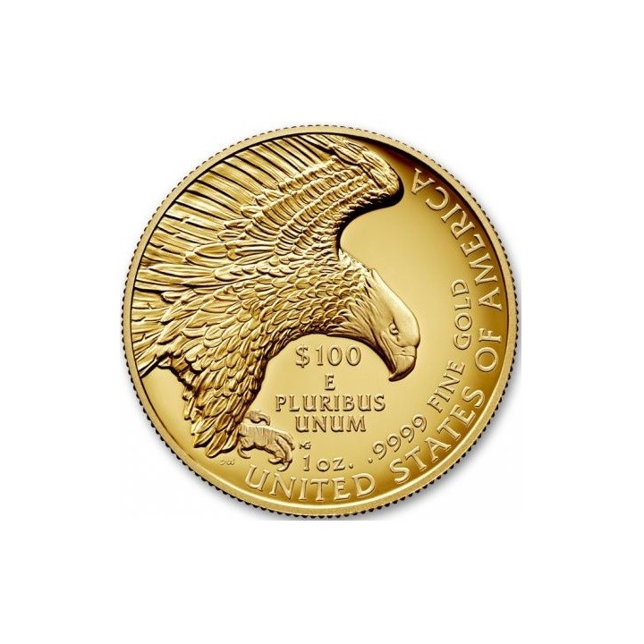 America Liberty 2019 High Relief