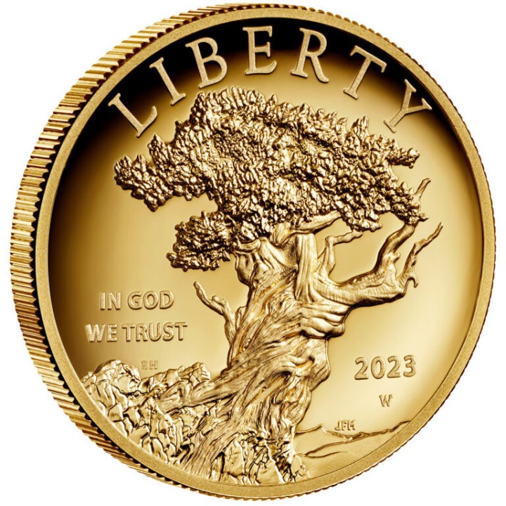 American Liberty 2023 (High Relief)