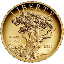 American Liberty 2023 (High Relief)