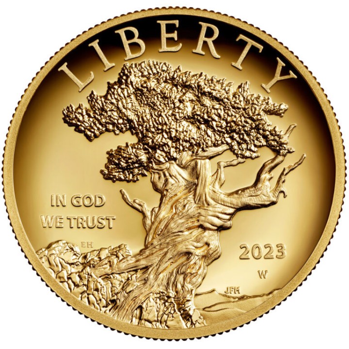 American Liberty 2023 (High Relief)