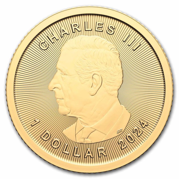 Canada Foglia d'Acero 1 Dollaro (FIOR DI CONIO)